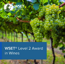WSET LEVEL 2 AWARD IN WINES