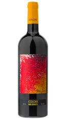 Bibi Graetz Colore 2020